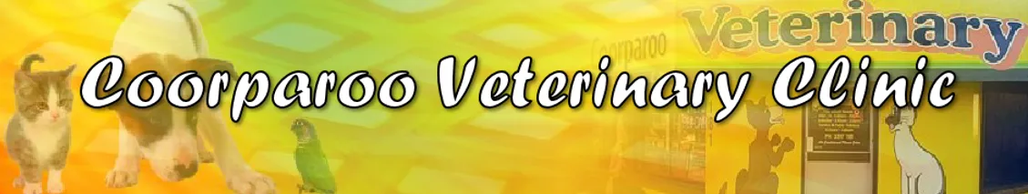 Coorparoo Veterinary Clinic QLD