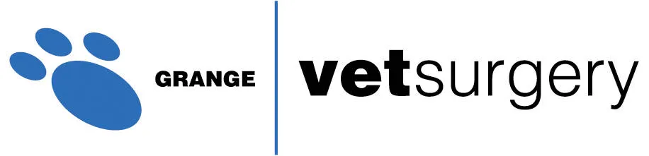 Grange Veterinary Surgery QLD