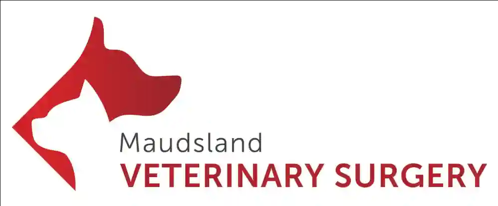 Maudsland Veterinary Surgery QLD