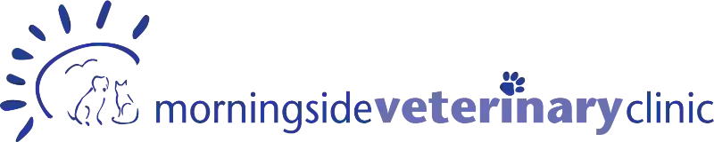 Morningside Vet Clinic QLD