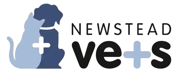 Newstead Vets QLD