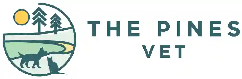 The Pines Vet QLD