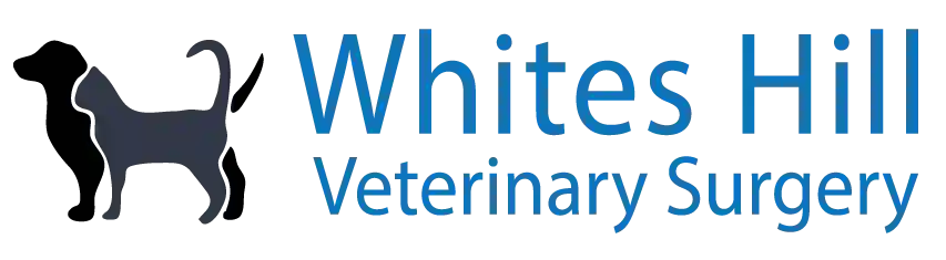 Whites Hill Veterinary Surgery QLD