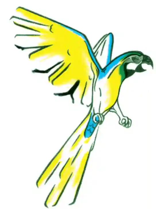 Somerton Park Vet SA