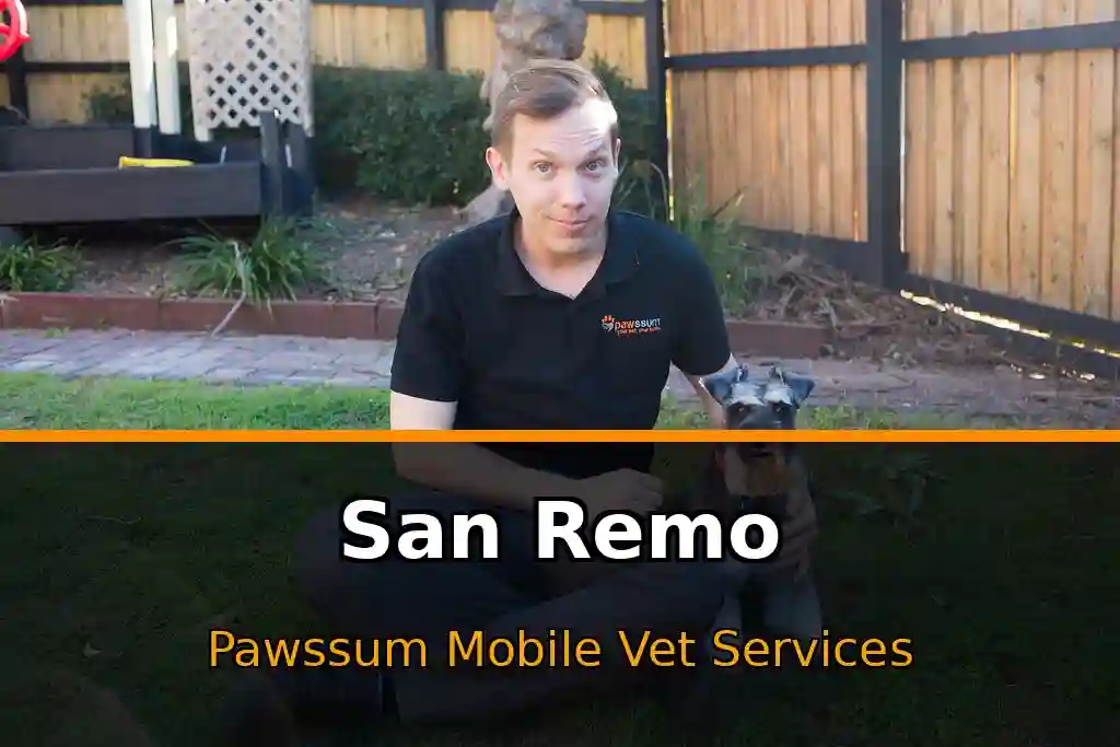 Pawssum mobile vet providing in-home pet care in San Remo, nsw-central-coast