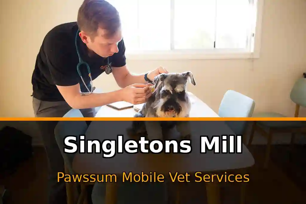 Pawssum mobile vet providing in-home pet care in Singletons Mill, nsw-central-coast