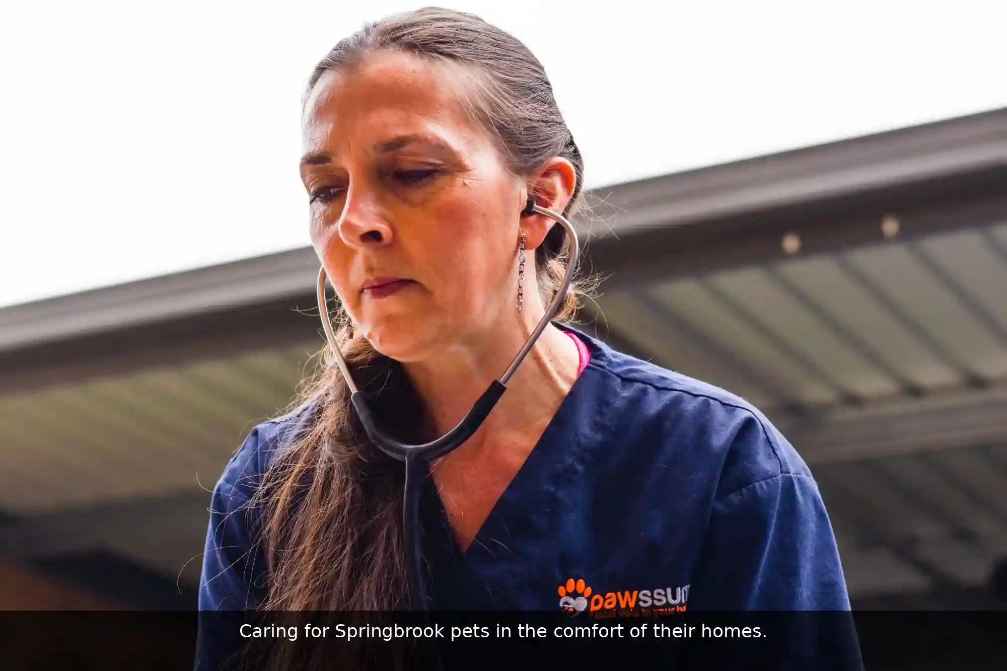 Pawssum mobile vet providing in-home pet care in Springbrook, gold-coast