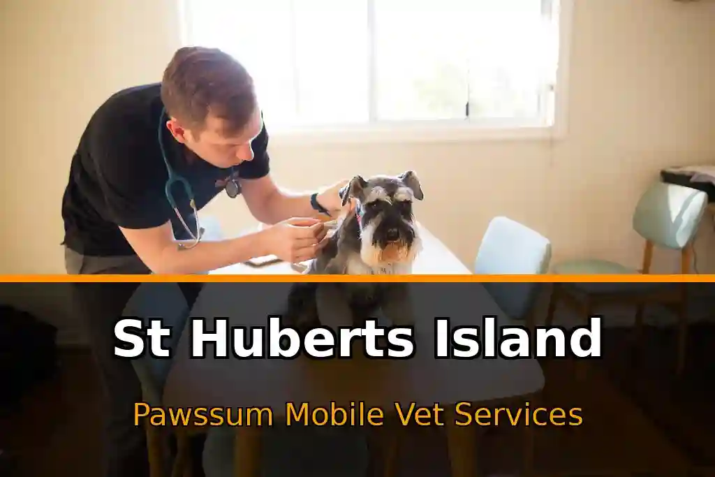 Pawssum mobile vet providing in-home pet care in St Huberts Island, nsw-central-coast