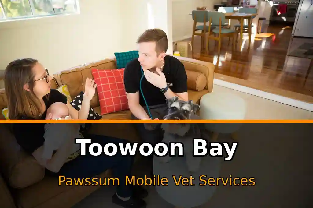 Pawssum mobile vet providing in-home pet care in Toowoon Bay, nsw-central-coast