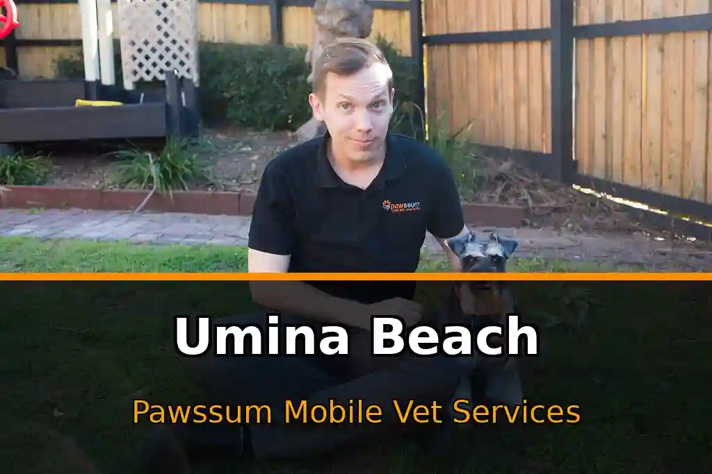 Pawssum mobile vet providing in-home pet care in Umina Beach, nsw-central-coast