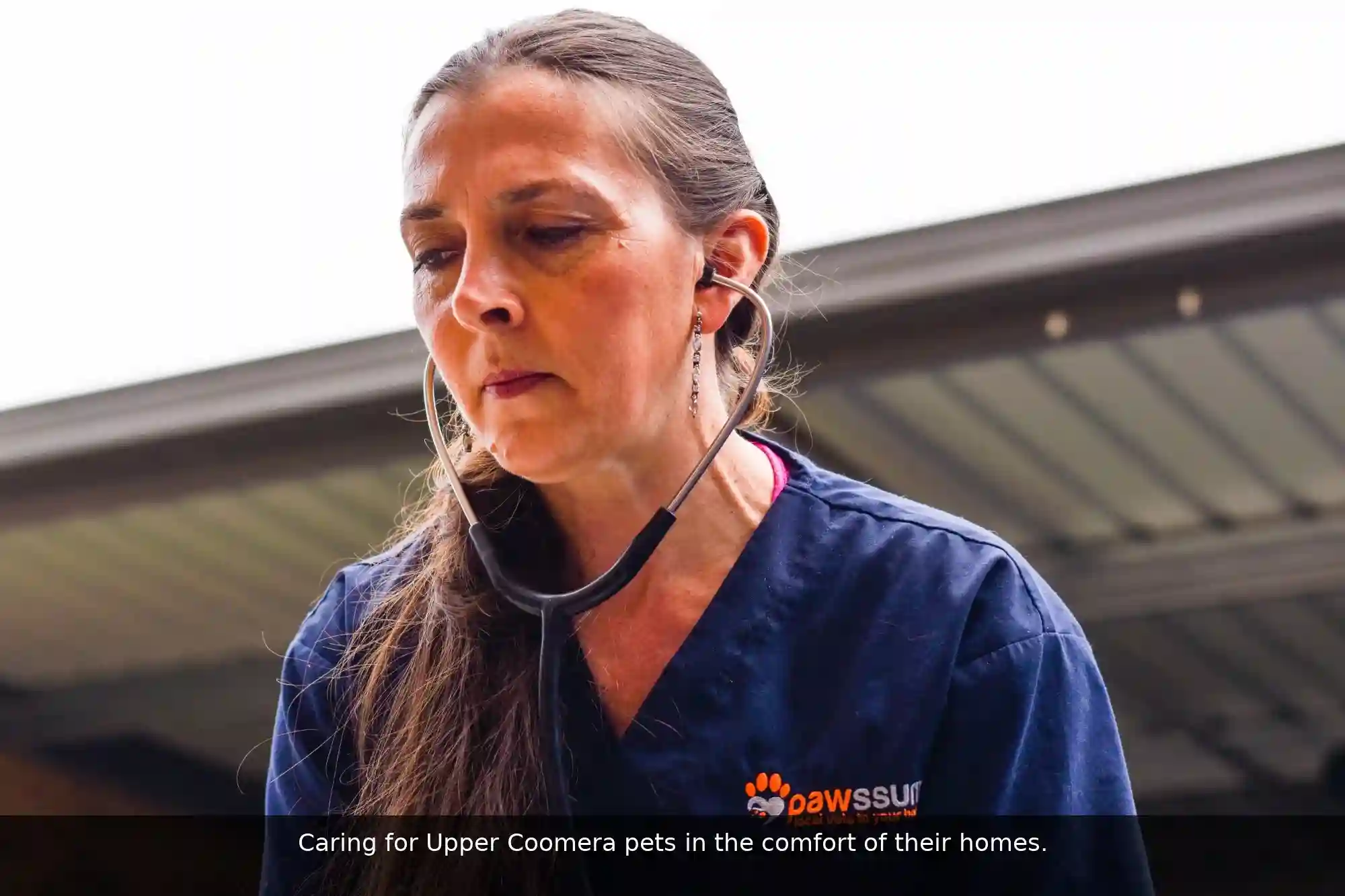Pawssum mobile vet providing in-home pet care in Upper Coomera, gold-coast