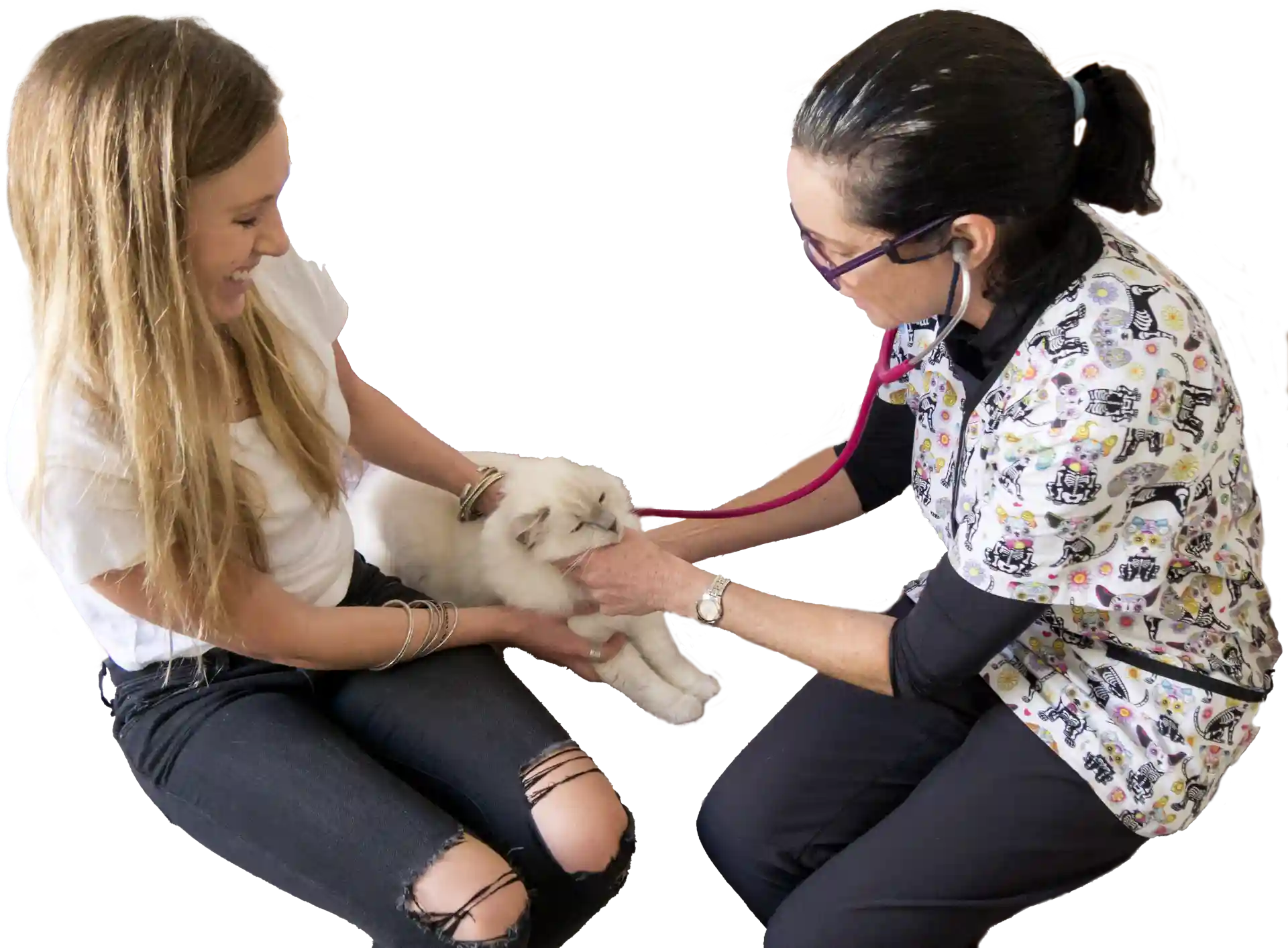 Vet with customer and white cat