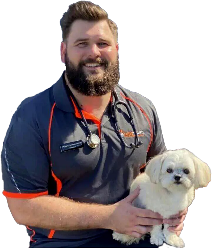 Smiling vet holding fluffy white dog