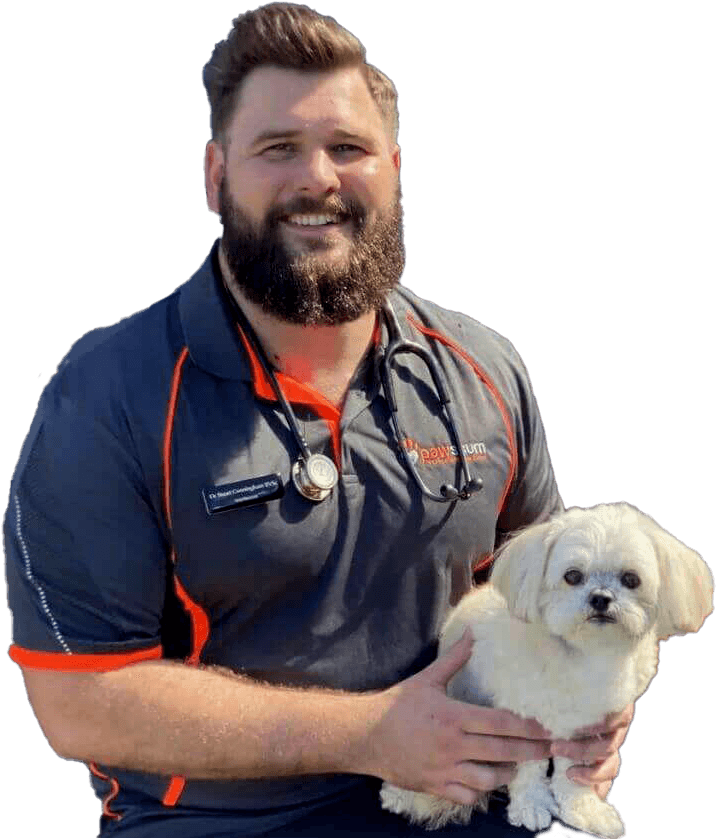 Pawssum mobile vet holding a small white dog before its at-home vaccination