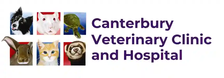Canterbury Veterinary Clinic VIC
