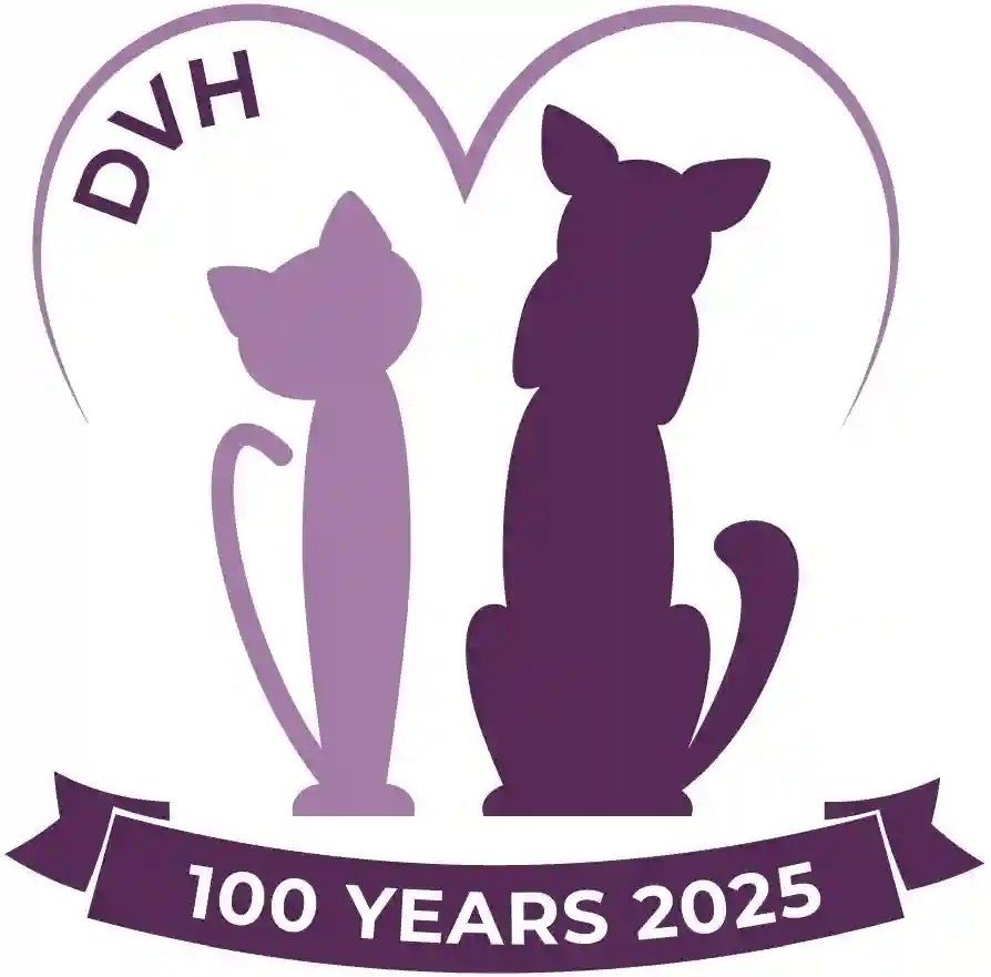 Dandenong Veterinary Hospital VIC