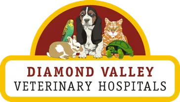 Diamond Valley Veterinary Hospital VIC