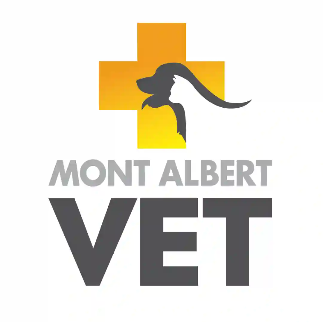 Mont Albert Vet VIC