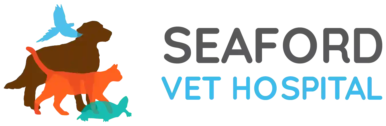 Seaford Vet Hospital VIC