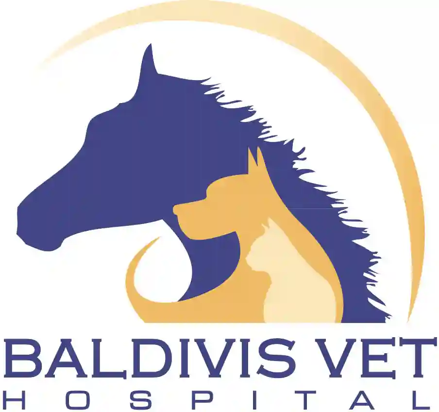 Baldivis Vet Hospital WA