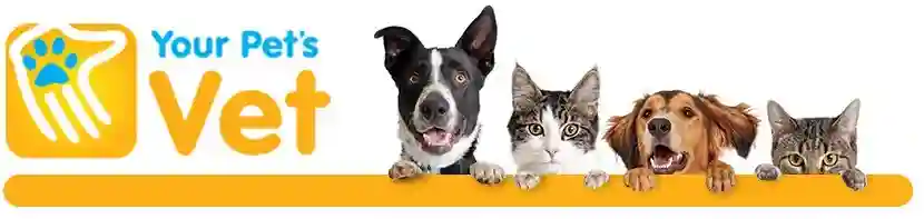 Your Pet's Vet WA