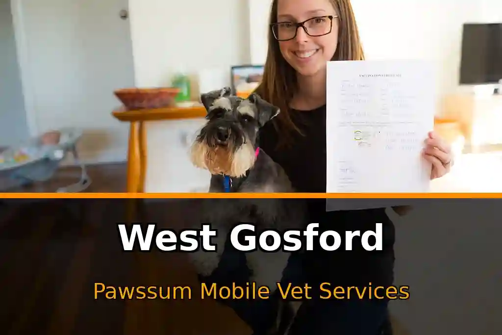 Pawssum mobile vet providing in-home pet care in West Gosford, nsw-central-coast