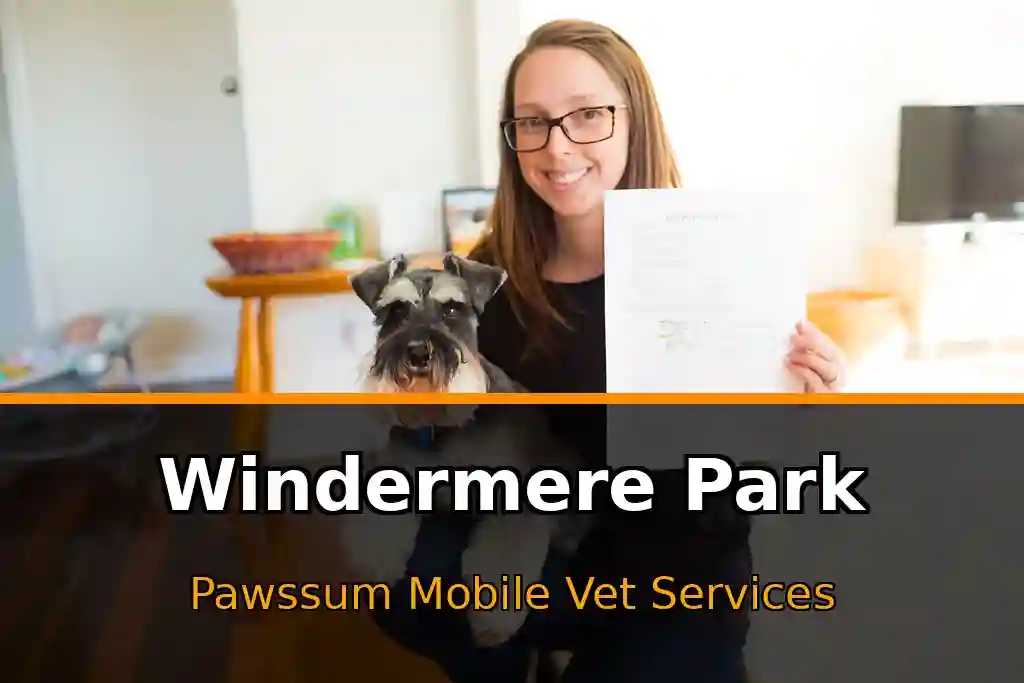 Pawssum mobile vet providing in-home pet care in Windermere Park, nsw-central-coast