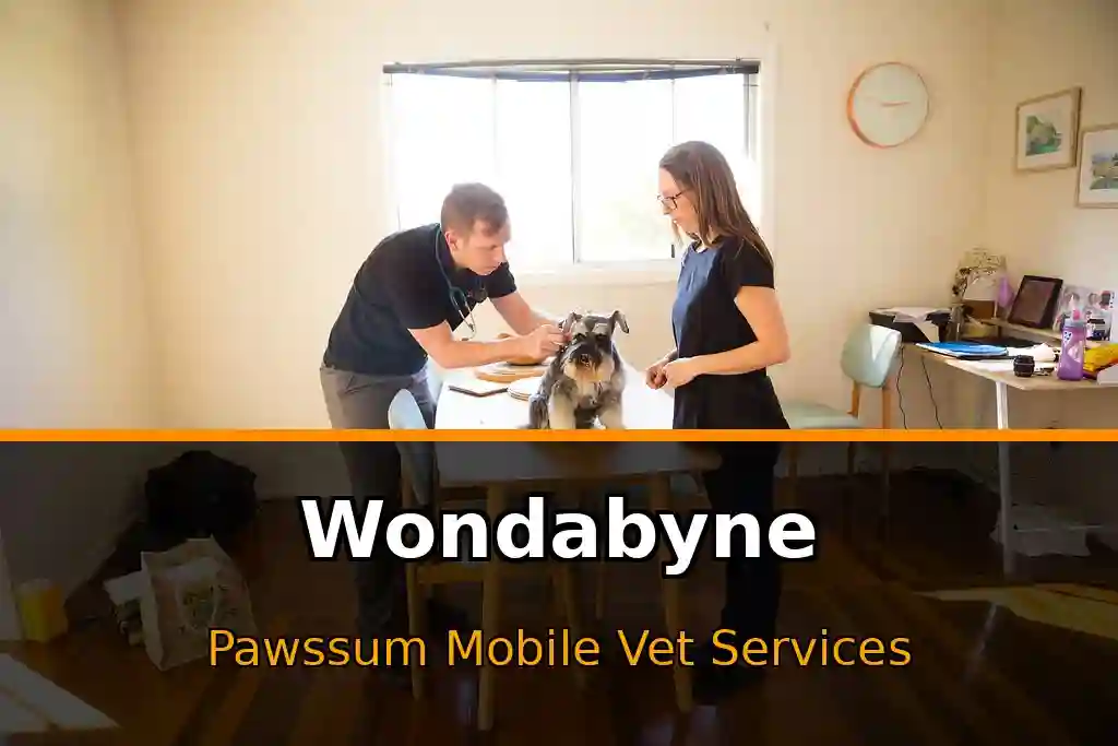 Pawssum mobile vet providing in-home pet care in Wondabyne, nsw-central-coast