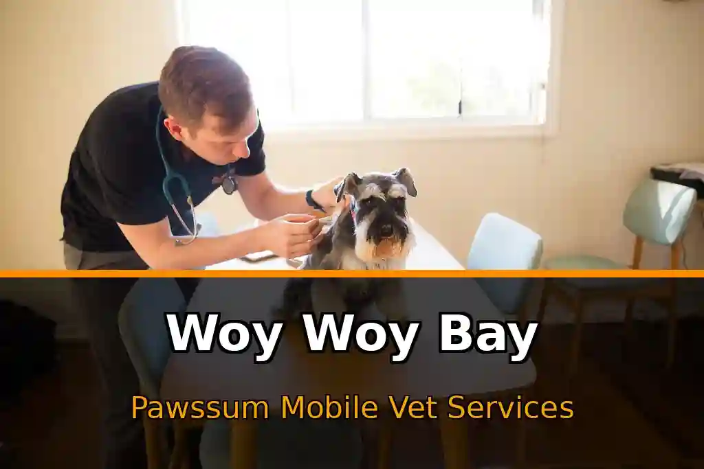 Pawssum mobile vet providing in-home pet care in Woy Woy Bay, nsw-central-coast