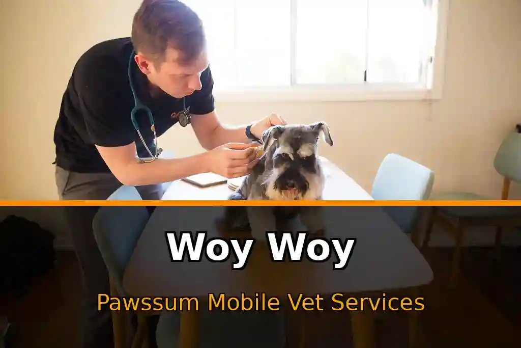 Pawssum mobile vet providing in-home pet care in Woy Woy, nsw-central-coast