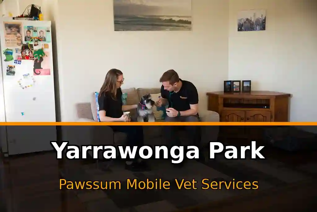 Pawssum mobile vet providing in-home pet care in Yarrawonga Park, nsw-central-coast