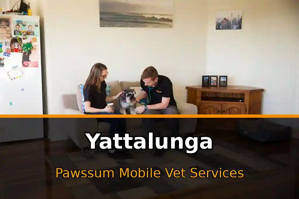 Pawssum mobile vet providing in-home pet care in Yattalunga, nsw-central-coast