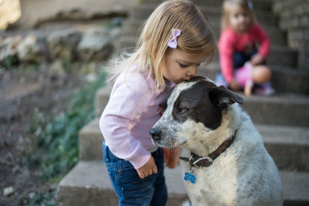 young girl kissing head of dog