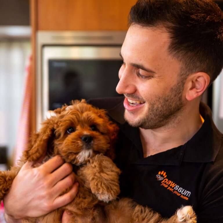 Best vet prices deals near me