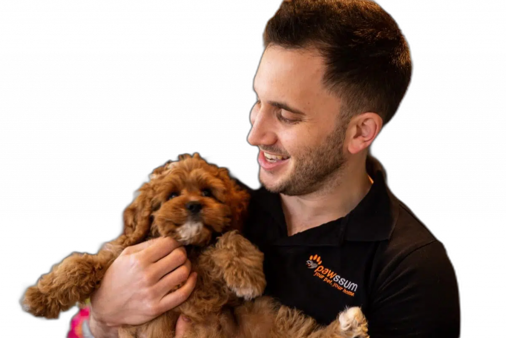 Vet Holding a DOg