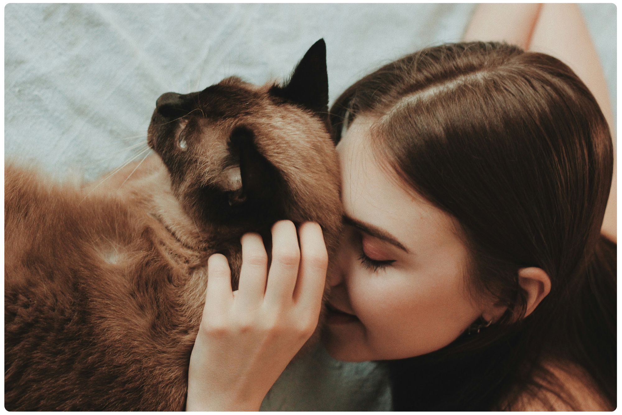 Cat with owner 2