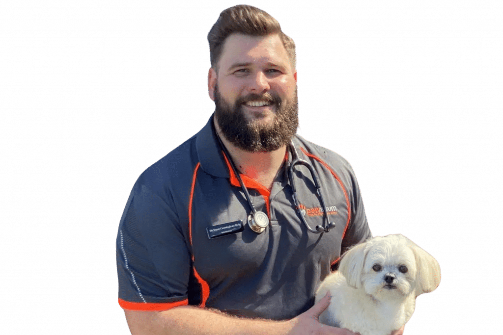 Vet with puppy